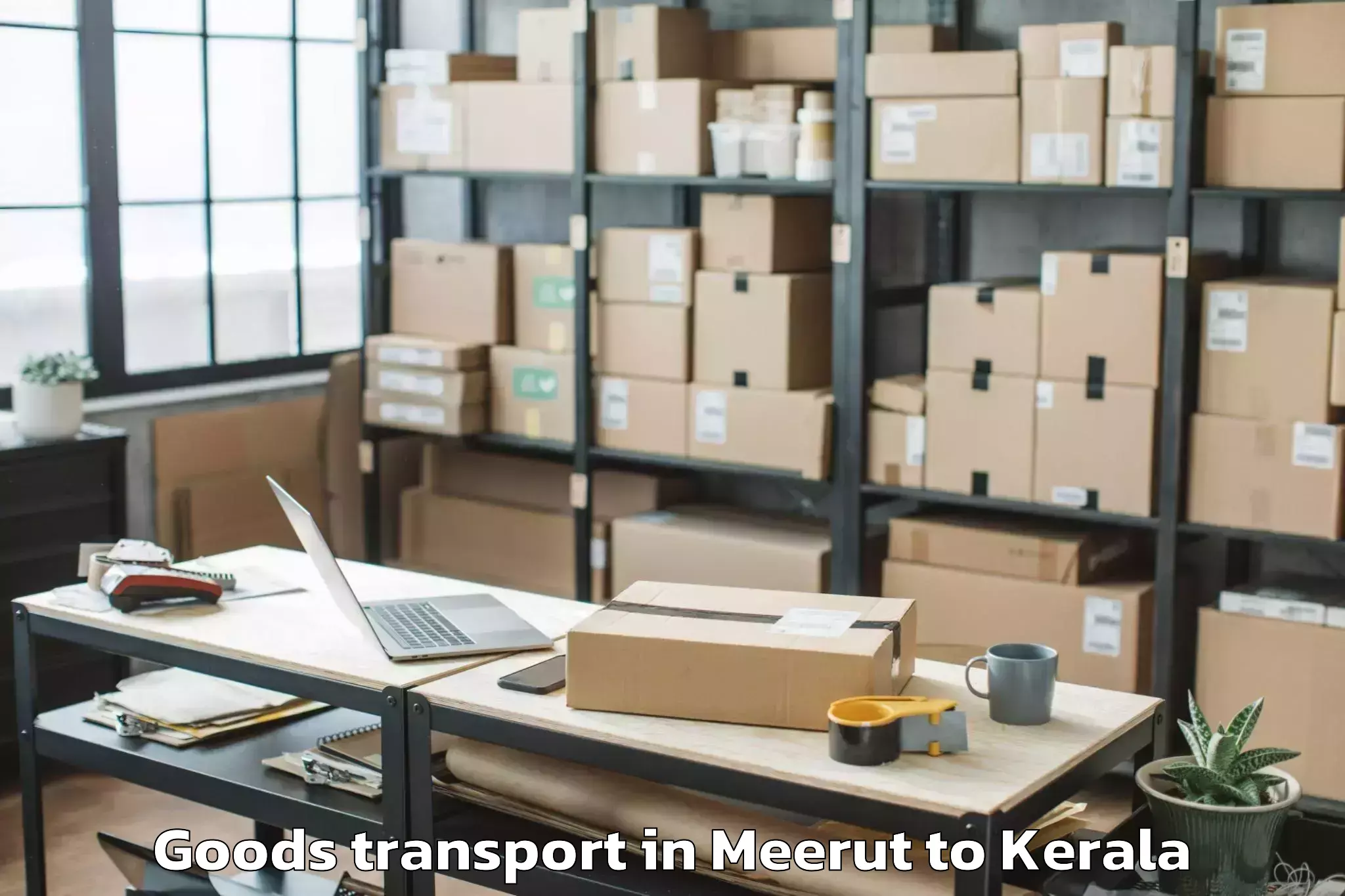 Professional Meerut to Thenhipalam Goods Transport